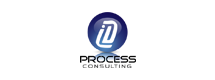 PROCESS CONSULTING